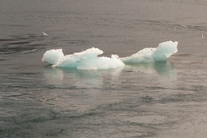 315-9033 Iceberg